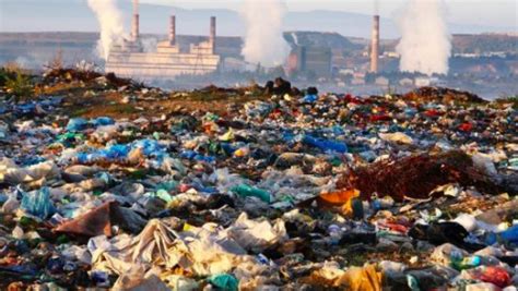 Everything you need to know. 15 Current Environmental Problems That Our World is Facing ...