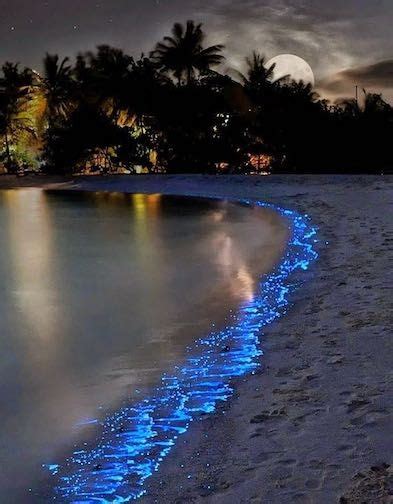 Sea Of Stars On Vaadhoo Island Maldives Beautiful Places To Travel