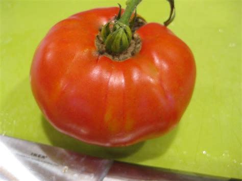 It is well suited for mature green and vine ripe harvesting and performs well variety. Tomato 'Marianna's Conflict' Seeds - Tomatoes | Garden ...