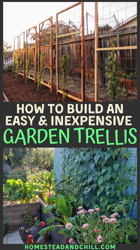 How To Build A Trellis Inexpensive And Easy Designs Homestead And