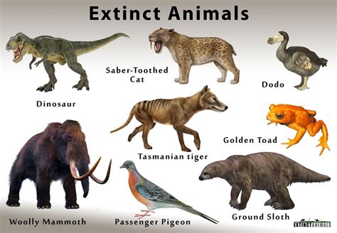 Extinct Animals That Came Back 2024 - Gladys Courtney