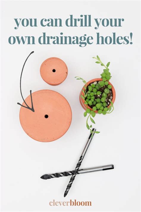 How To Drill Drainage Holes For Houseplants Plant Care Plant Crafts