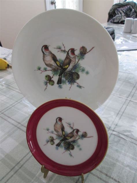 Two Vintage Kaiser Porcelain Song Birds Plates With Same Image 75
