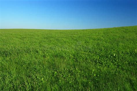 Open Field Stock Photo Image Of Sunny Summer Spring 3664288