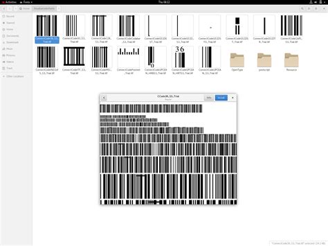 Installing The Barcode Fonts On Ubuntu Linux