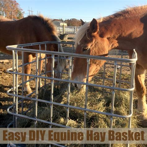 I hope this will give at least a couple folks some ideas of their own. Easy DIY Equine Hay Basket - Save Hundreds of Dollars! Hay ...