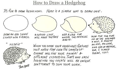 Other videos you may enjoy: How to draw a Hedgehog