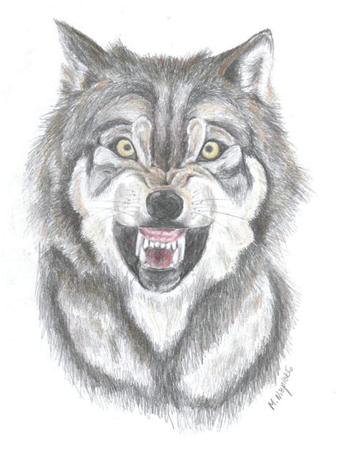 Growling Wolf By Fuflon On Deviantart