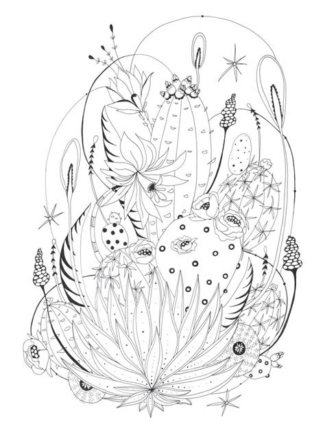 Botanical Wonderland Artists Edition Coloring Pages Adult Coloring