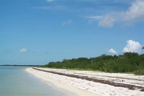 • 3:00 pm reptile show. FLAMINGO CAMPGROUND - Updated 2018 Reviews (Everglades ...