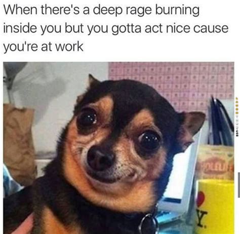 12 Hilarious Work Memes That Will Make Your Day