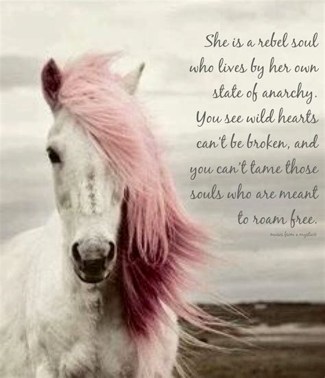 Inspirational Horse Quotes Inspiration