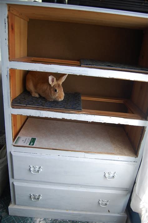 This is great for classy storage! Diy Rabbit Hutch From Dresser Plans DIY Free Download ...