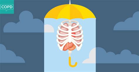 The rib cage is the arrangement of ribs attached to the vertebral column and sternum in the thorax of most vertebrates, that encloses and protects the vital organs such as the heart, lungs and great vessels. Have You Got Muscles Outside Rib Cage / Chest Wall ...