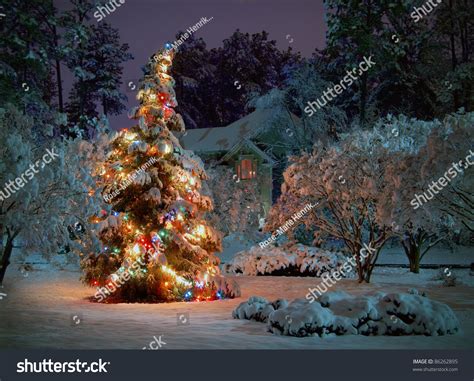 Snow Covered Outdoor Christmas Tree With Multicolored Lights Stock