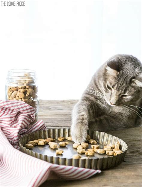 Cats can be addicted to tuna, whether it's packed for cats or for humans. Homemade Cat Treats Recipe - 3 Ingredient Salmon Cat Treats