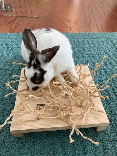 Bunny Wood Sisal Digging Toy Small Pet Chew Toy Rabbit Etsy