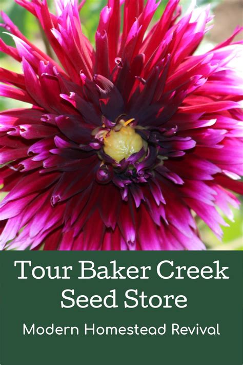 Tour Baker Creek Seeds With Us And See Why This Heirloom Seed Company