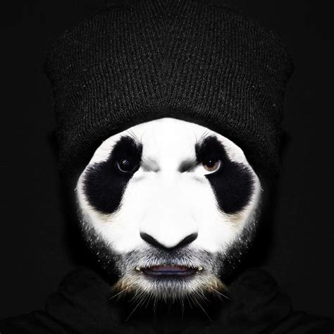 Savage Panda