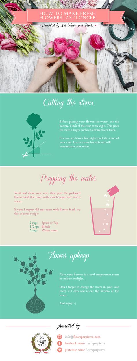 We did not find results for: How to make fresh flowers last longer: tips to keep your ...