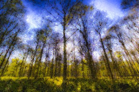 The Pastel Forest Photograph By David Pyatt Pixels