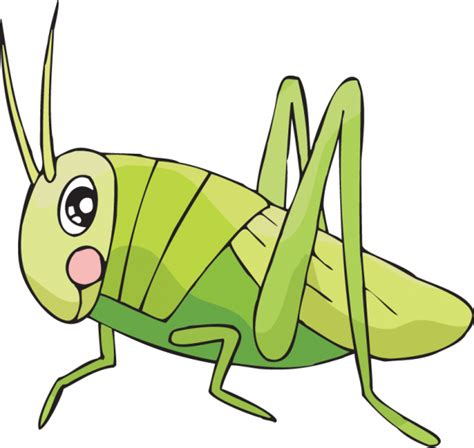 Download Easy To Draw Cricket Clipart Drawing Insect Clip Art Cricket