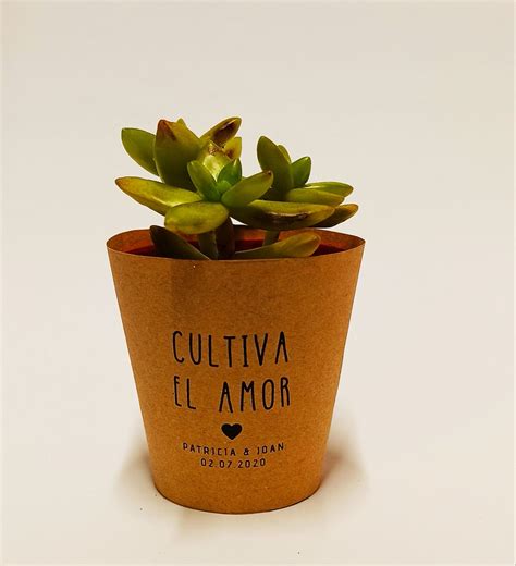 Pin En Mini Cactus Y Suculentas Con Frases Bonitas