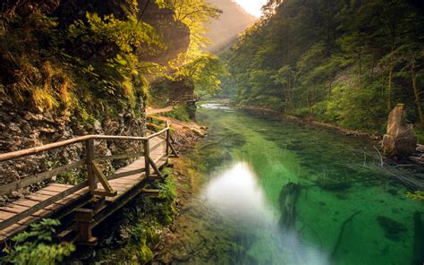 Nature Landscape River Walkway Mountain Path Forest