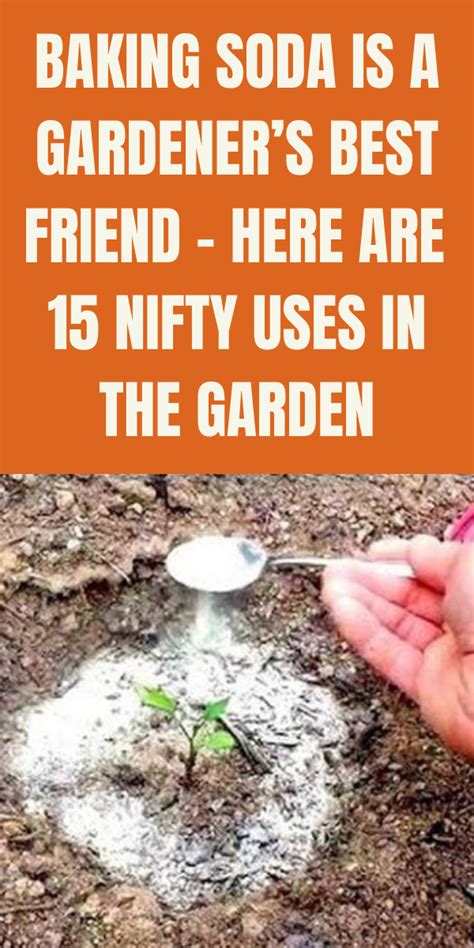 Baking Soda Is A Gardeners Best Friend Here Are 15 Nifty Uses In The
