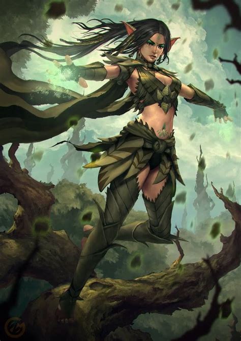 Elf Female Elder Scrolls 9GAG Fantasy Warrior Fantasy Races Fantasy