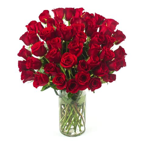 50 Red Roses Bouquet 48longstems Red Roses Red Rose Bouquet