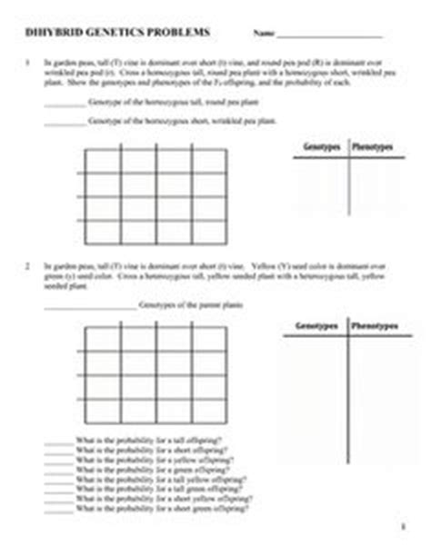 Learn vocabulary, terms and more with flashcards, games and other study tools. 11 Best Images of Pedigree Worksheet Answers - Genetics Pedigree Worksheet Answer Key ...