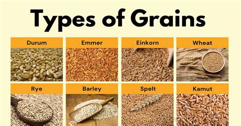 Common Types Of Grains In English You Should Know 7esl
