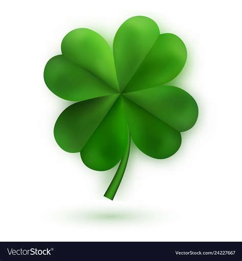 Green Four Leaf Clovers Irish Lucky And Success Vector Image