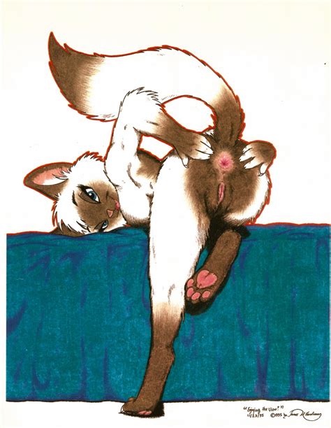 Rule 34 1995 Anthro Anus Ass Bed Bent Over Big Anus Feline Female