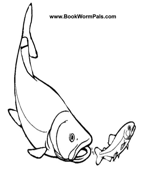 It is seldom found in water deeper than 18 feet. Clipart Panda - Free Clipart Images