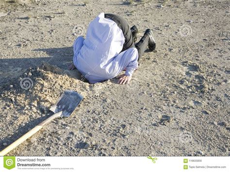 Bury Your Head In The Sand Stock Photo Image Of Concepts
