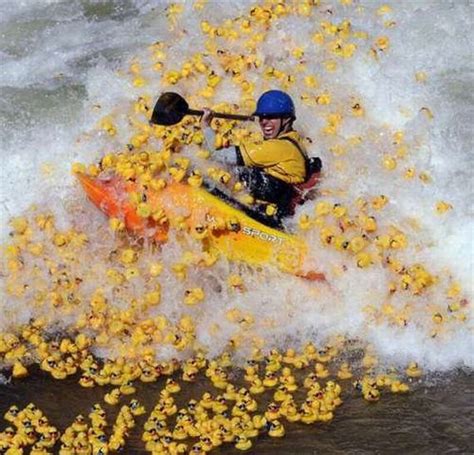 30 Fotos Deportivas Tomadas En El Momento Justo Blogerin