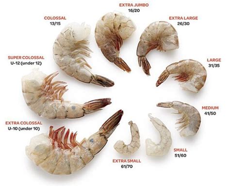 Are The Dried Shrimp In Ramen Cups Actually Shrimp Quora
