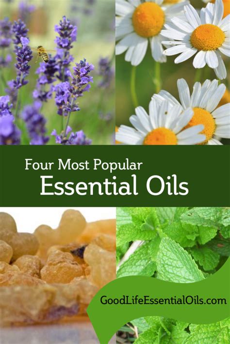Four Most Popular Essential Oils Essential Oils Oils Essentials