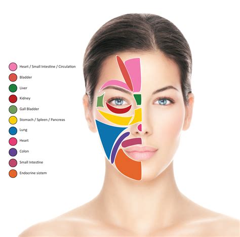 Face Reflexology Chart Reflexology Reflexology Techniques Images