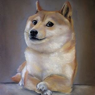 Dogecoin/cryptocurrency posts are not allowed here. #KnowYourMeme: Who is #Doge meme? - Meme - Dizkover