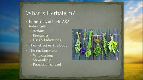 Introduction To Herbalism The Foundation Of Understanding Plants