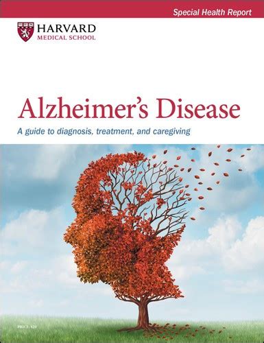 Protecting Yourself From Alzheimers Harvard Health