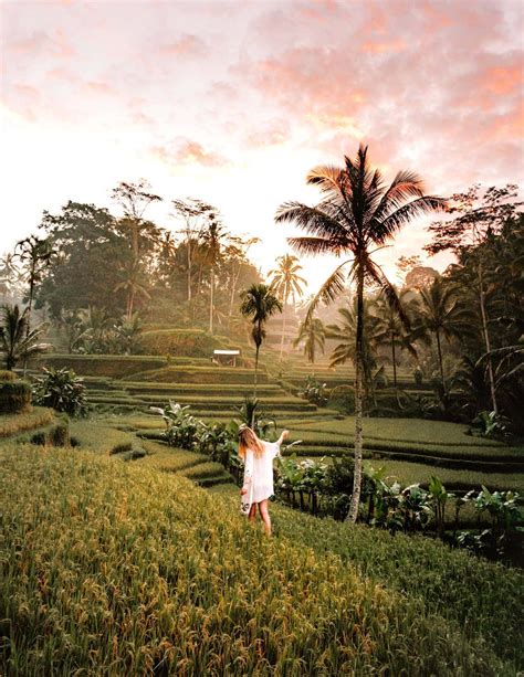 Tegalalang Rice Terraces Around Ubud In Bali The Ultimate Guide