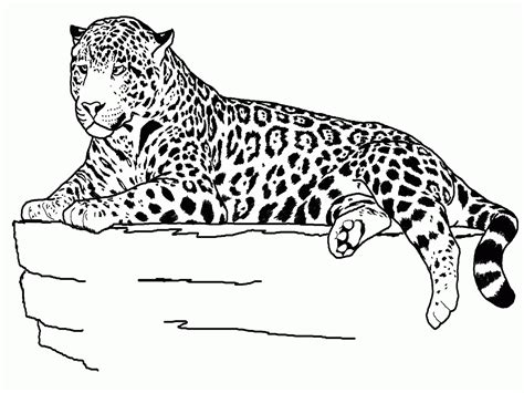 Free Cute Baby Cheetah Coloring Pages Download Free Cute Baby Cheetah
