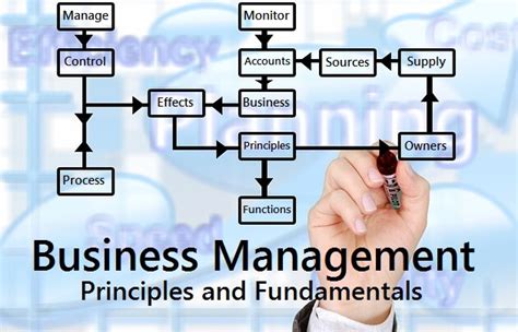 Understanding The Basics Of Business And Management