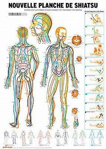 Shiatsu Medecine Chinoise Acupuncture Point Acupuncture