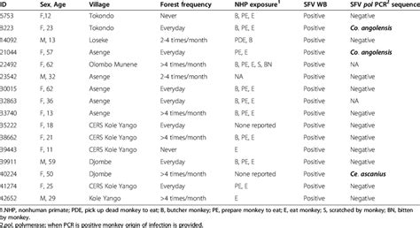 Identification of frequent simian foamy virus (SFV) infection in rural