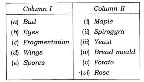 Ncert Solutions Class 7 Science Chapter 12 Reproduction In Plants